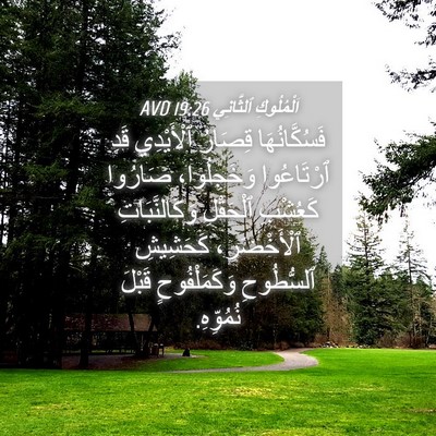 Picture 04 - اَلْمُلُوكِ ٱلثَّانِي 19:26 AVD - فَسُكَّانُهَا قِصَارُ - Bible Verse Picture