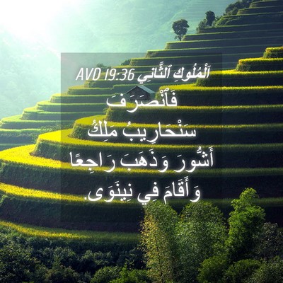 Picture 04 - اَلْمُلُوكِ ٱلثَّانِي 19:36 AVD - فَٱنْصَرَفَ سَنْحَارِيبُ - Bible Verse Picture