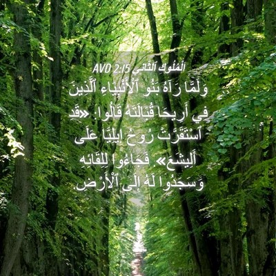 Picture 04 - اَلْمُلُوكِ ٱلثَّانِي 2:15 AVD - وَلَمَّا رَآهُ بَنُو - Bible Verse Picture