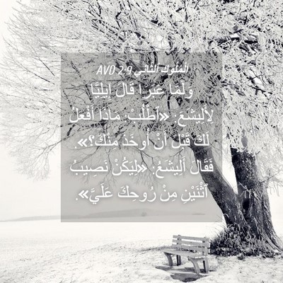 Picture 04 - اَلْمُلُوكِ ٱلثَّانِي 2:9 AVD - وَلَمَّا عَبَرَا قَالَ - Bible Verse Picture