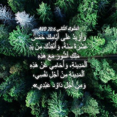 Picture 04 - اَلْمُلُوكِ ٱلثَّانِي 20:6 AVD - وَأَزِيدُ عَلَى - Bible Verse Picture