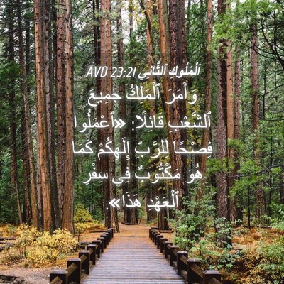 Picture 04 - اَلْمُلُوكِ ٱلثَّانِي 23:21 AVD - وَأَمَرَ ٱلْمَلِكُ - Bible Verse Picture