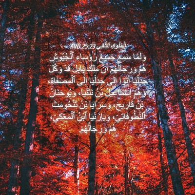 Picture 04 - اَلْمُلُوكِ ٱلثَّانِي 25:23 AVD - وَلَمَّا سَمِعَ جَمِيعُ - Bible Verse Picture