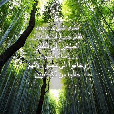 Picture 04 - اَلْمُلُوكِ ٱلثَّانِي 25:26 AVD - فَقَامَ جَمِيعُ ٱلشَّعْبِ - Bible Verse Picture