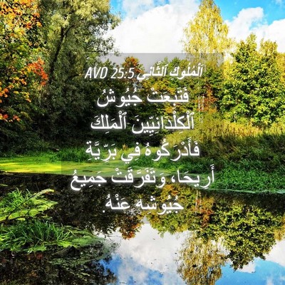 Picture 04 - اَلْمُلُوكِ ٱلثَّانِي 25:5 AVD - فَتَبِعَتْ جُيُوشُ - Bible Verse Picture