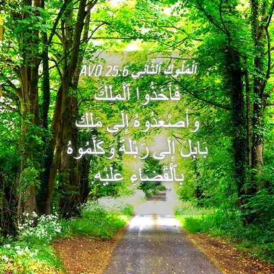 Picture 04 - اَلْمُلُوكِ ٱلثَّانِي 25:6 AVD - فَأَخَذُوا ٱلْمَلِكَ - Bible Verse Picture