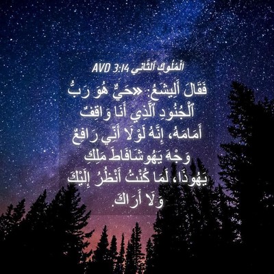 Picture 04 - اَلْمُلُوكِ ٱلثَّانِي 3:14 AVD - فَقَالَ أَلِيشَعُ: «حَيٌّ - Bible Verse Picture