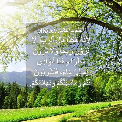 Picture 04 - اَلْمُلُوكِ ٱلثَّانِي 3:17 AVD - لِأَنَّهُ هَكَذَا قَالَ - Bible Verse Picture