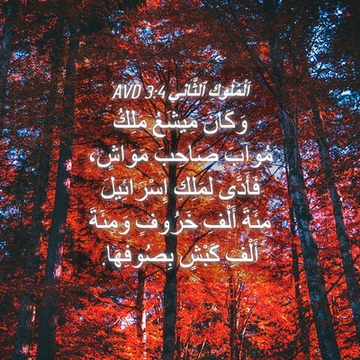 Picture 04 - اَلْمُلُوكِ ٱلثَّانِي 3:4 AVD - وَكَانَ مِيشَعُ مَلِكُ - Bible Verse Picture