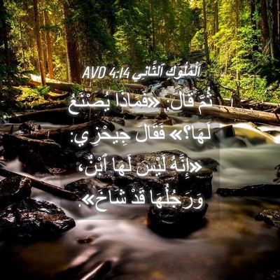 Picture 04 - اَلْمُلُوكِ ٱلثَّانِي 4:14 AVD - ثُمَّ قَالَ: «فَمَاذَا - Bible Verse Picture