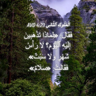 Picture 04 - اَلْمُلُوكِ ٱلثَّانِي 4:23 AVD - فَقَالَ: «لِمَاذَا - Bible Verse Picture