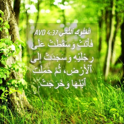 Picture 04 - اَلْمُلُوكِ ٱلثَّانِي 4:37 AVD - فَأَتَتْ وَسَقَطَتْ عَلَى - Bible Verse Picture