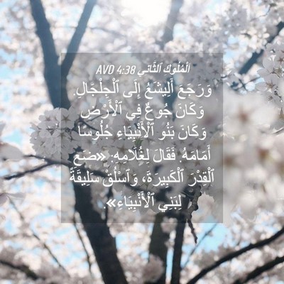 Picture 04 - اَلْمُلُوكِ ٱلثَّانِي 4:38 AVD - وَرَجَعَ أَلِيشَعُ إِلَى - Bible Verse Picture