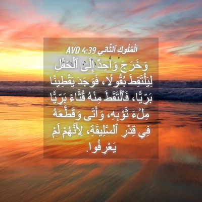 Picture 04 - اَلْمُلُوكِ ٱلثَّانِي 4:39 AVD - وَخَرَجَ وَاحِدٌ إِلَى - Bible Verse Picture