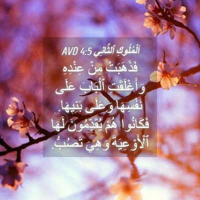 Picture 04 - اَلْمُلُوكِ ٱلثَّانِي 4:5 AVD - فَذَهَبَتْ مِنْ عِنْدِهِ - Bible Verse Picture