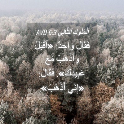Picture 04 - اَلْمُلُوكِ ٱلثَّانِي 6:3 AVD - فَقَالَ وَاحِدٌ: «ٱقْبَلْ - Bible Verse Picture