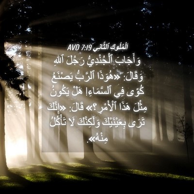 Picture 04 - اَلْمُلُوكِ ٱلثَّانِي 7:19 AVD - وَأَجَابَ ٱلْجُنْدِيُّ - Bible Verse Picture