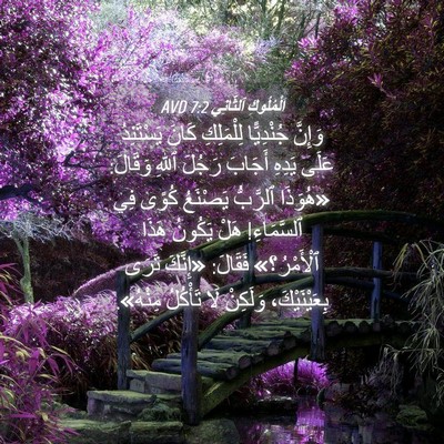 Picture 04 - اَلْمُلُوكِ ٱلثَّانِي 7:2 AVD - وَإِنَّ جُنْدِيًّا - Bible Verse Picture