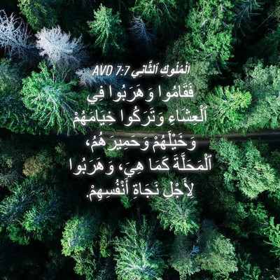 Picture 04 - اَلْمُلُوكِ ٱلثَّانِي 7:7 AVD - فَقَامُوا وَهَرَبُوا فِي - Bible Verse Picture