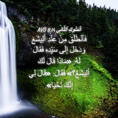 Picture 04 - اَلْمُلُوكِ ٱلثَّانِي 8:14 AVD - فَٱنْطَلَقَ مِنْ عِنْدِ - Bible Verse Picture