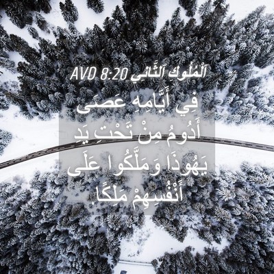 Picture 04 - اَلْمُلُوكِ ٱلثَّانِي 8:20 AVD - فِي أَيَّامِهِ عَصَى - Bible Verse Picture