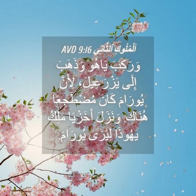 Picture 04 - اَلْمُلُوكِ ٱلثَّانِي 9:16 AVD - وَرَكِبَ يَاهُو وَذَهَبَ - Bible Verse Picture