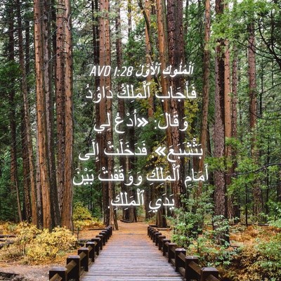 Picture 04 - اَلْمُلُوكِ ٱلْأَوَّلُ 1:28 AVD - فَأَجَابَ ٱلْمَلِكُ - Bible Verse Picture