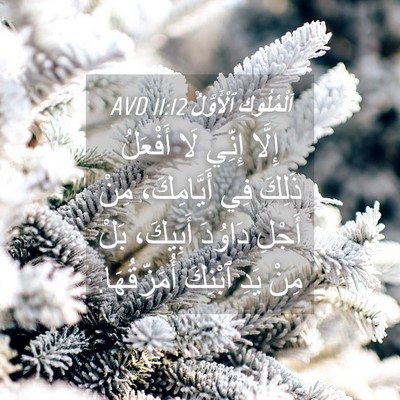 Picture 04 - اَلْمُلُوكِ ٱلْأَوَّلُ 11:12 AVD - إِلَّا إِنِّي لَا أَفْعَلُ - Bible Verse Picture