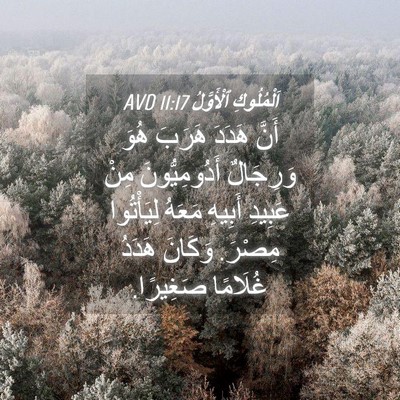 Picture 04 - اَلْمُلُوكِ ٱلْأَوَّلُ 11:17 AVD - أَنَّ هَدَدَ هَرَبَ هُوَ - Bible Verse Picture