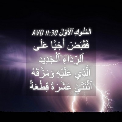 Picture 04 - اَلْمُلُوكِ ٱلْأَوَّلُ 11:30 AVD - فَقَبَضَ أَخِيَّا عَلَى - Bible Verse Picture