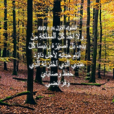 Picture 04 - اَلْمُلُوكِ ٱلْأَوَّلُ 11:34 AVD - وَلَا آخُذُ كُلَّ - Bible Verse Picture
