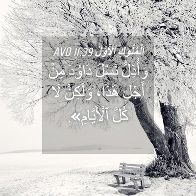 Picture 04 - اَلْمُلُوكِ ٱلْأَوَّلُ 11:39 AVD - وَأُذِلُّ نَسْلَ دَاوُدَ - Bible Verse Picture
