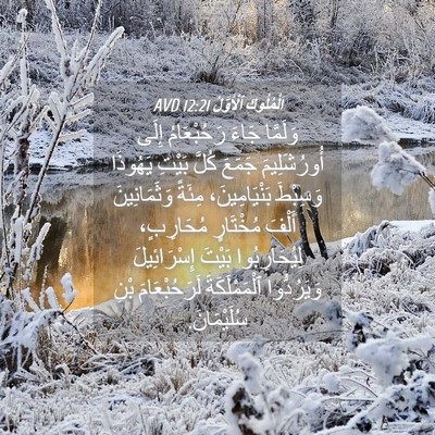 Picture 04 - اَلْمُلُوكِ ٱلْأَوَّلُ 12:21 AVD - وَلَمَّا جَاءَ - Bible Verse Picture