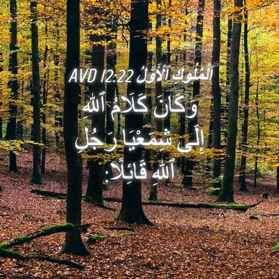 Picture 04 - اَلْمُلُوكِ ٱلْأَوَّلُ 12:22 AVD - وَكَانَ كَلَامُ ٱللهِ - Bible Verse Picture