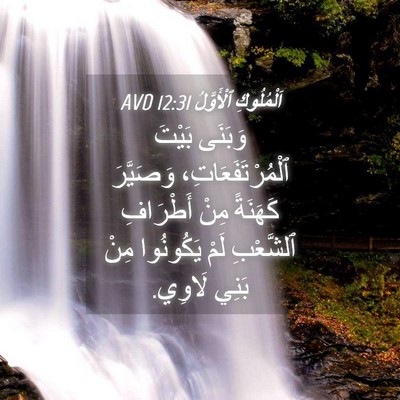 Picture 04 - اَلْمُلُوكِ ٱلْأَوَّلُ 12:31 AVD - وَبَنَى بَيْتَ - Bible Verse Picture