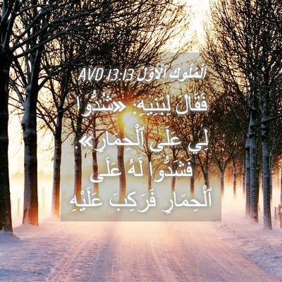 Picture 04 - اَلْمُلُوكِ ٱلْأَوَّلُ 13:13 AVD - فَقَالَ لِبَنِيهِ: - Bible Verse Picture