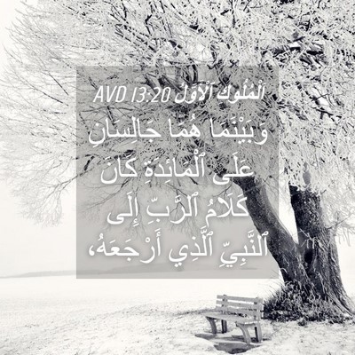 Picture 04 - اَلْمُلُوكِ ٱلْأَوَّلُ 13:20 AVD - وَبَيْنَمَا هُمَا - Bible Verse Picture