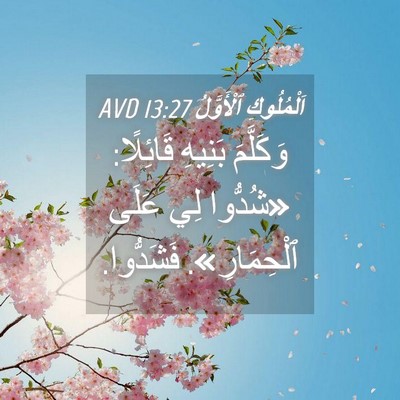Picture 04 - اَلْمُلُوكِ ٱلْأَوَّلُ 13:27 AVD - وَكَلَّمَ بَنِيهِ - Bible Verse Picture