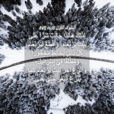 Picture 04 - اَلْمُلُوكِ ٱلْأَوَّلُ 14:10 AVD - لِذَلِكَ هَأَنَذَا - Bible Verse Picture