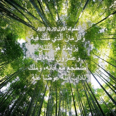Picture 04 - اَلْمُلُوكِ ٱلْأَوَّلُ 14:20 AVD - وَٱلزَّمَانُ ٱلَّذِي - Bible Verse Picture