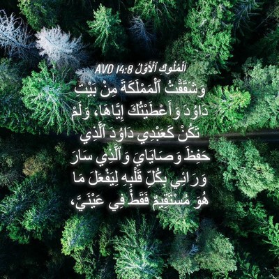 Picture 04 - اَلْمُلُوكِ ٱلْأَوَّلُ 14:8 AVD - وَشَقَقْتُ ٱلْمَمْلَكَةَ - Bible Verse Picture
