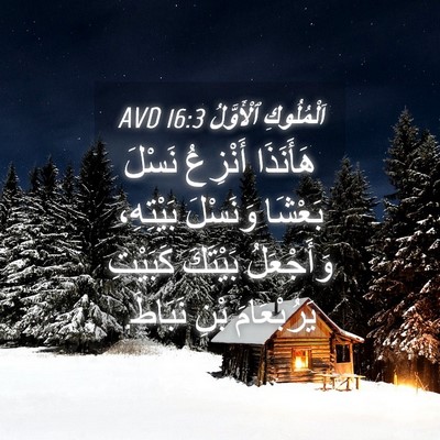Picture 04 - اَلْمُلُوكِ ٱلْأَوَّلُ 16:3 AVD - هَأَنَذَا أَنْزِعُ نَسْلَ - Bible Verse Picture