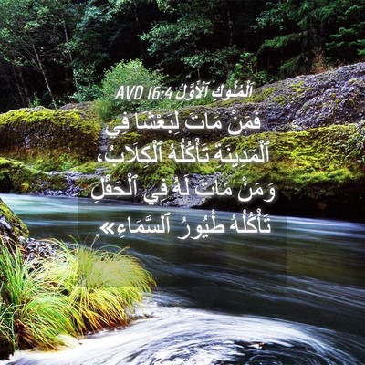 Picture 04 - اَلْمُلُوكِ ٱلْأَوَّلُ 16:4 AVD - فَمَنْ مَاتَ لِبَعْشَا فِي - Bible Verse Picture