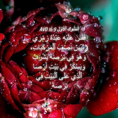 Picture 04 - اَلْمُلُوكِ ٱلْأَوَّلُ 16:9 AVD - فَفَتَنَ عَلَيْهِ - Bible Verse Picture