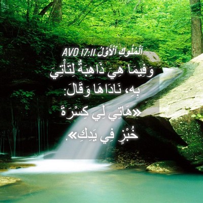 Picture 04 - اَلْمُلُوكِ ٱلْأَوَّلُ 17:11 AVD - وَفِيمَا هِيَ ذَاهِبَةٌ - Bible Verse Picture