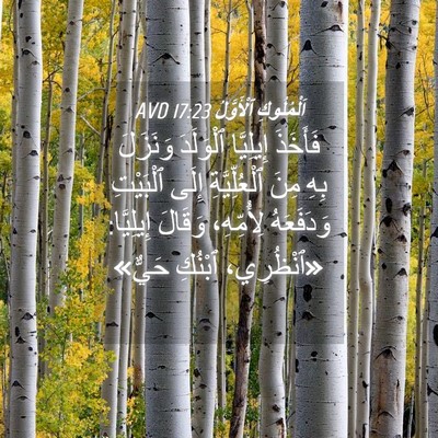 Picture 04 - اَلْمُلُوكِ ٱلْأَوَّلُ 17:23 AVD - فَأَخَذَ إِيلِيَّا - Bible Verse Picture