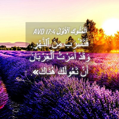 Picture 04 - اَلْمُلُوكِ ٱلْأَوَّلُ 17:4 AVD - فَتَشْرَبَ مِنَ ٱلنَّهْرِ. - Bible Verse Picture