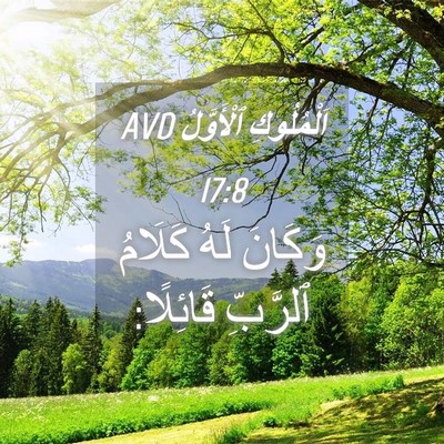 Picture 04 - اَلْمُلُوكِ ٱلْأَوَّلُ 17:8 AVD - وَكَانَ لَهُ كَلَامُ - Bible Verse Picture