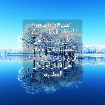 Picture 04 - اَلْمُلُوكِ ٱلْأَوَّلُ 18:33 AVD - ثُمَّ رَتَّبَ ٱلْحَطَبَ - Bible Verse Picture