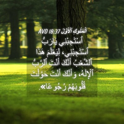 Picture 04 - اَلْمُلُوكِ ٱلْأَوَّلُ 18:37 AVD - ٱسْتَجِبْنِي يَارَبُّ - Bible Verse Picture